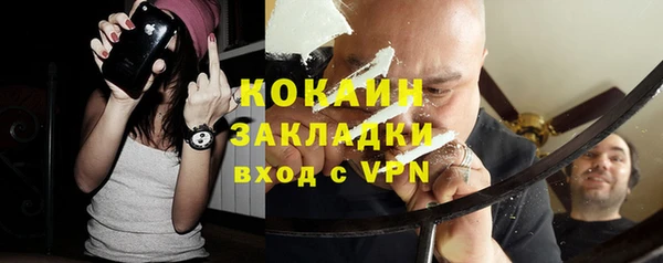 твердый Богданович