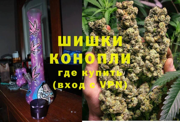 шишки Белоозёрский
