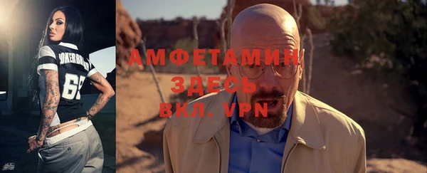 шишки Белоозёрский