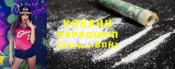 шишки Белоозёрский