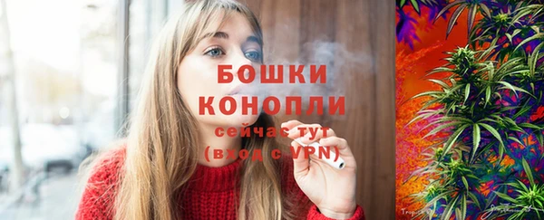 твердый Богданович