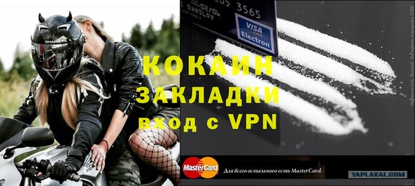 шишки Белоозёрский
