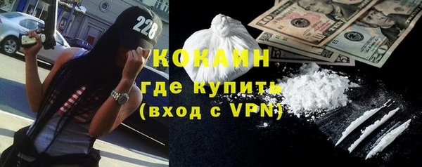шишки Белоозёрский