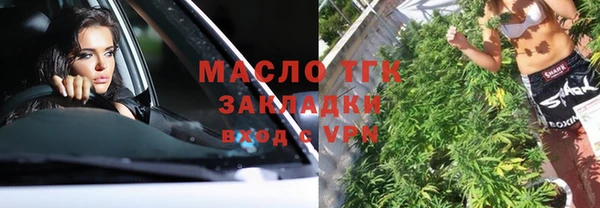 шишки Белоозёрский