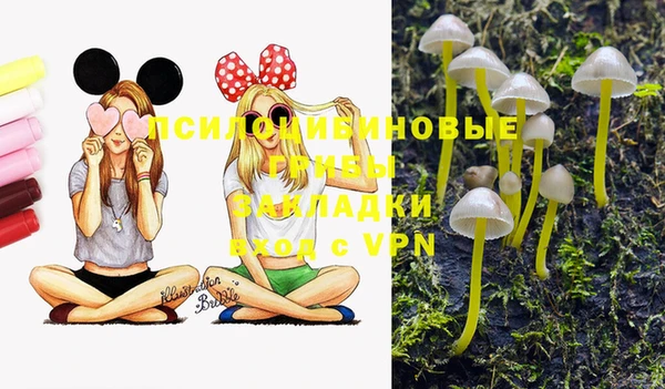 гашишное масло Богородицк